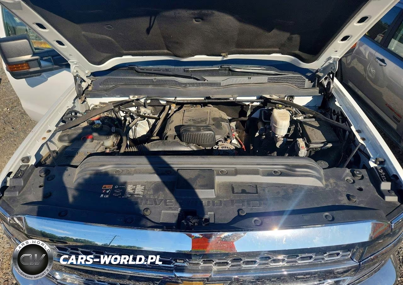 2019 Chevrolet Silverado K2500 Heavy Duty VIN:1GC1KREG5KF166555 - 11