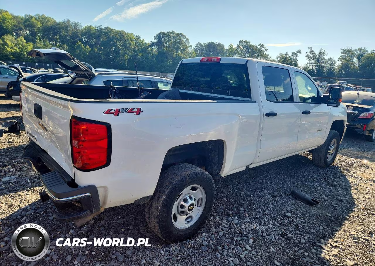 2019 Chevrolet Silverado K2500 Heavy Duty VIN:1GC1KREG5KF166555 - 3