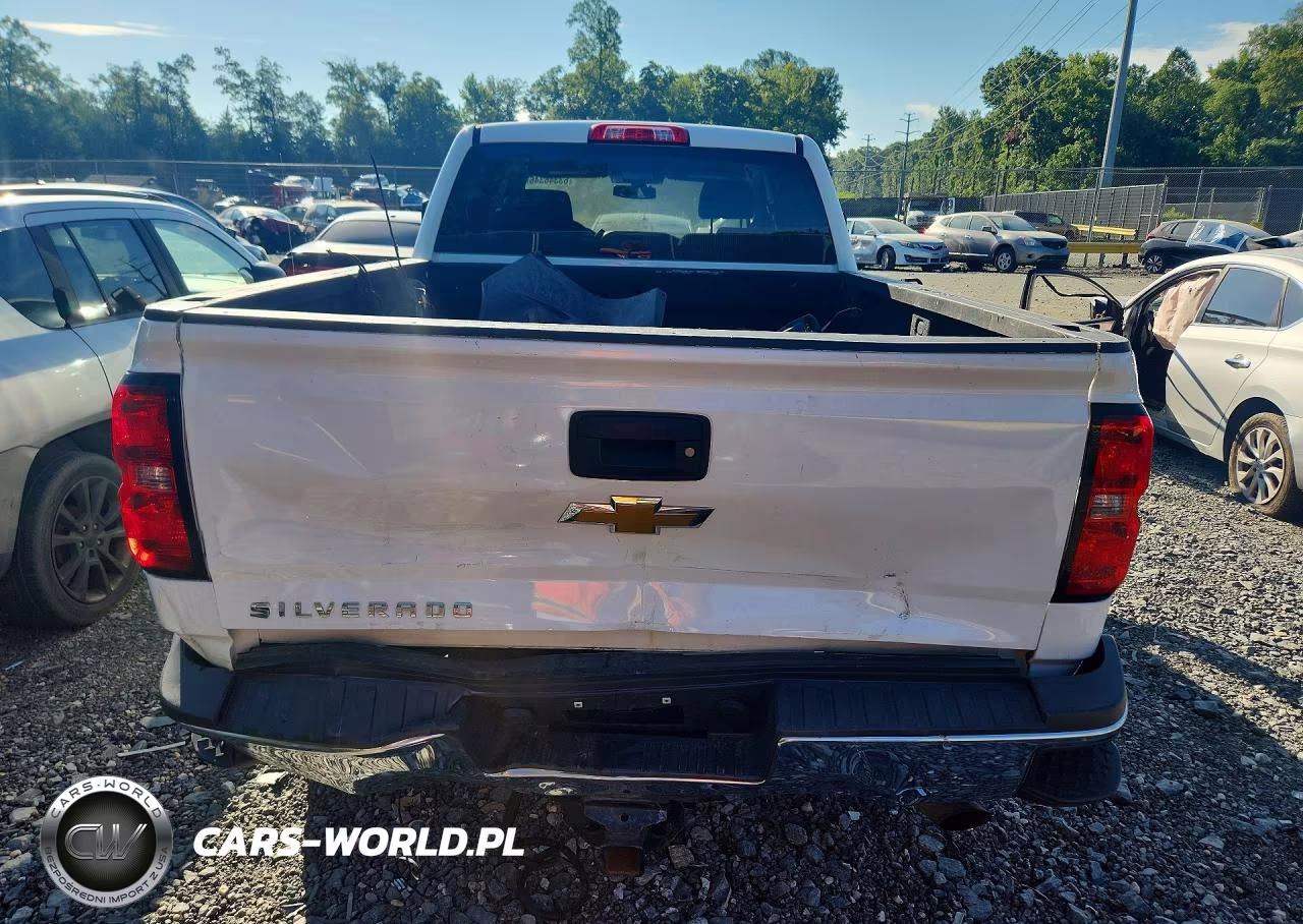 2019 Chevrolet Silverado K2500 Heavy Duty VIN:1GC1KREG5KF166555 - 6