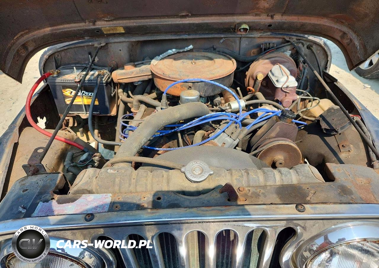 1980 Jeep Cj-5 VIN:J0D93EH033994 - 12