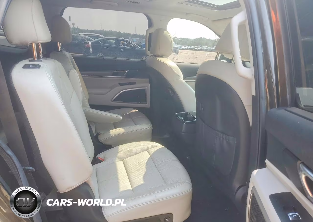 2020 Kia Telluride Ex VIN:5XYP34HC2LG054491 - 10