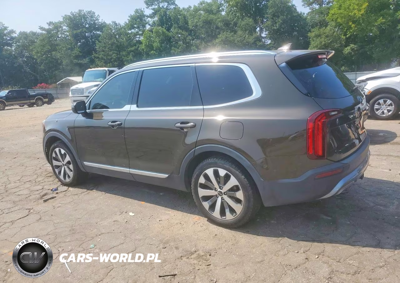 2020 Kia Telluride Ex VIN:5XYP34HC2LG054491 - 2