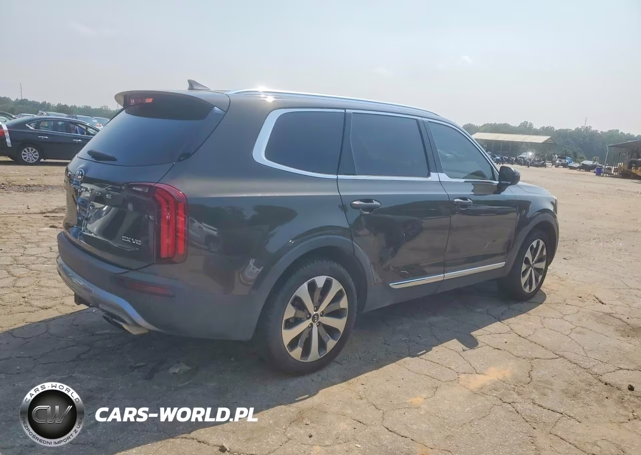 2020 Kia Telluride Ex VIN:5XYP34HC2LG054491 - 3