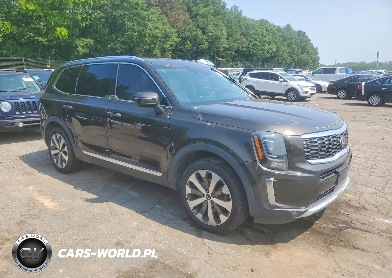 2020 Kia Telluride Ex VIN:5XYP34HC2LG054491 - 4