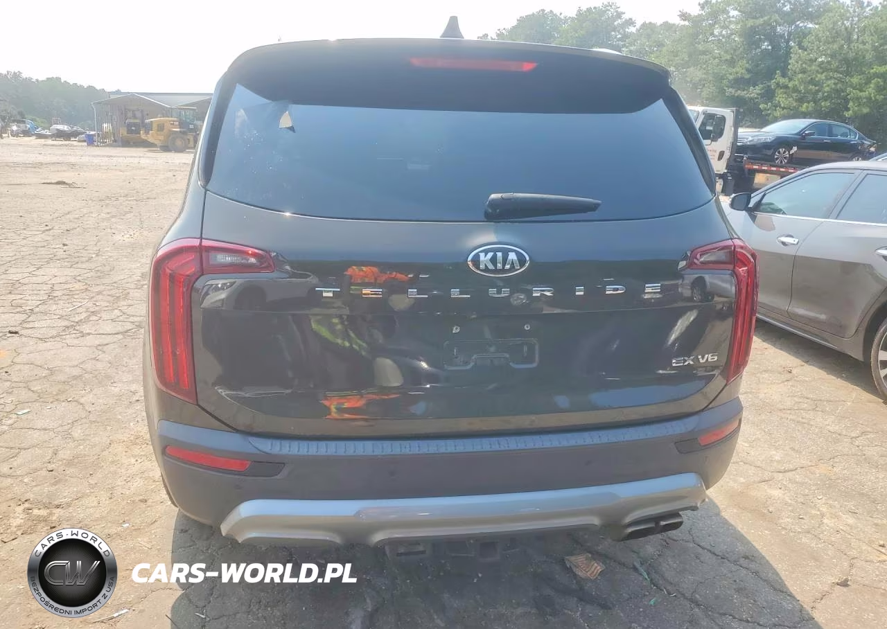 2020 Kia Telluride Ex VIN:5XYP34HC2LG054491 - 6