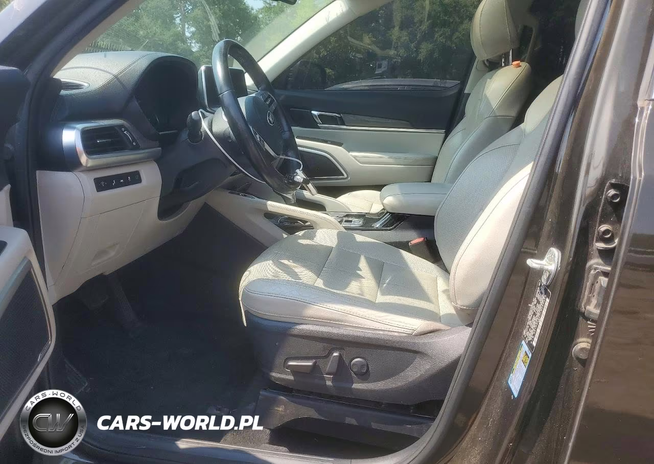 2020 Kia Telluride Ex VIN:5XYP34HC2LG054491 - 7