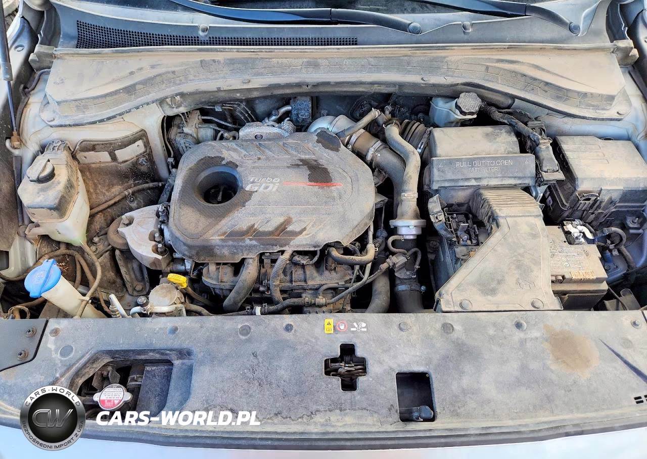2020 Hyundai Santa Fe Sel 2.0T VIN:5NMS3CAA6LH208218 - 12