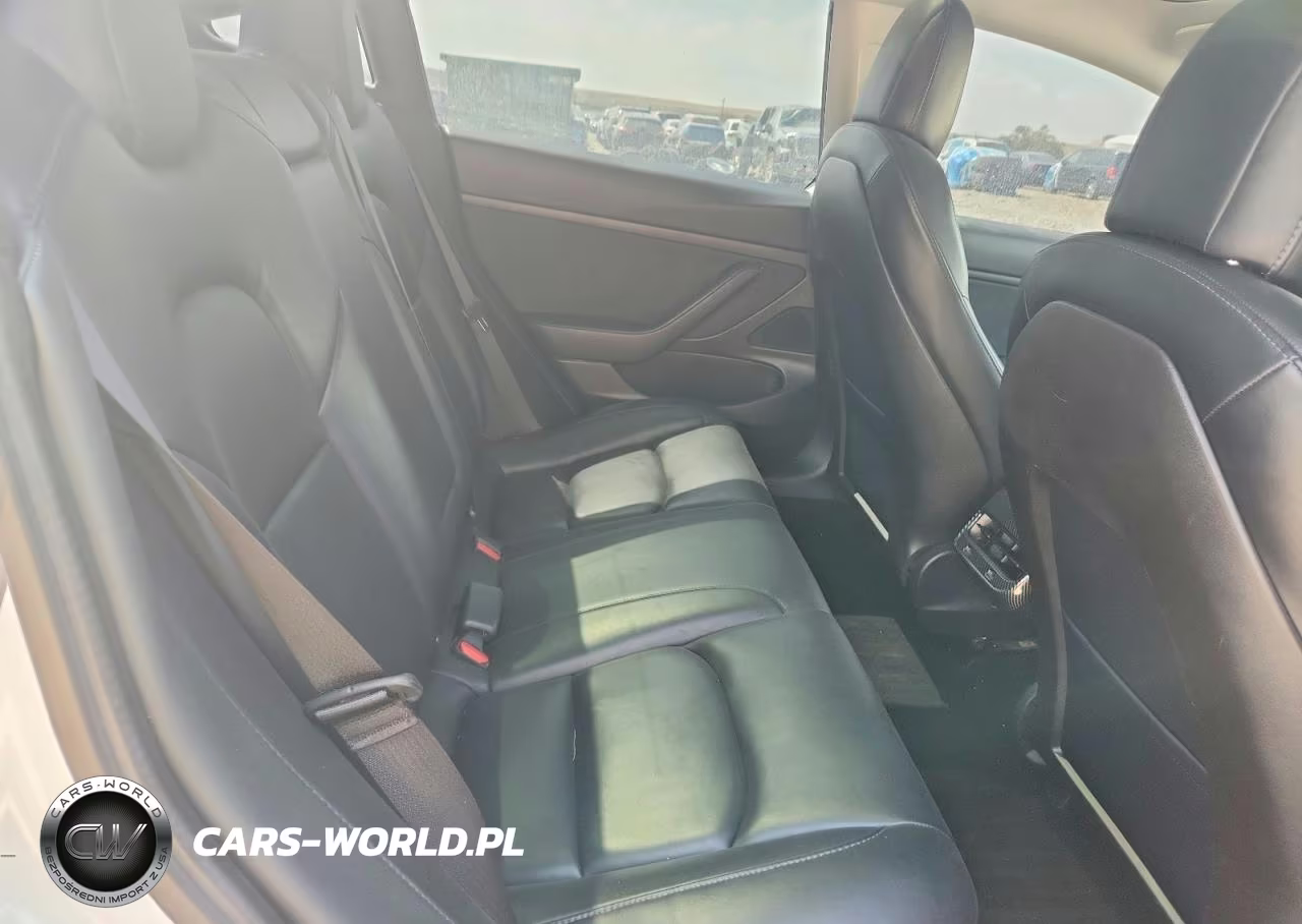 2020 Tesla Model 3 VIN:5YJ3E1EA0LF612713 - 10