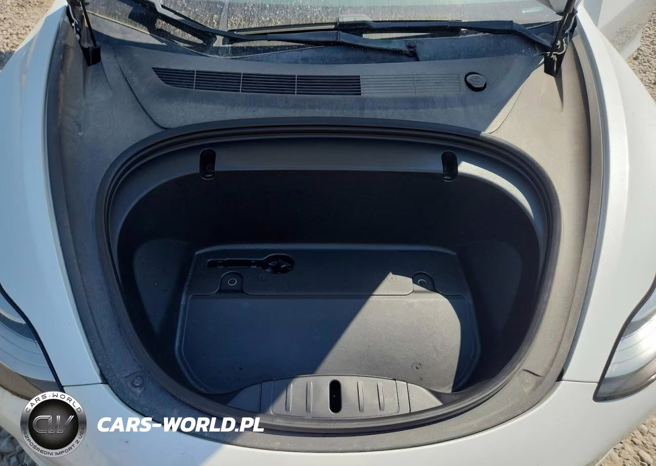 2020 Tesla Model 3 VIN:5YJ3E1EA0LF612713 - 11