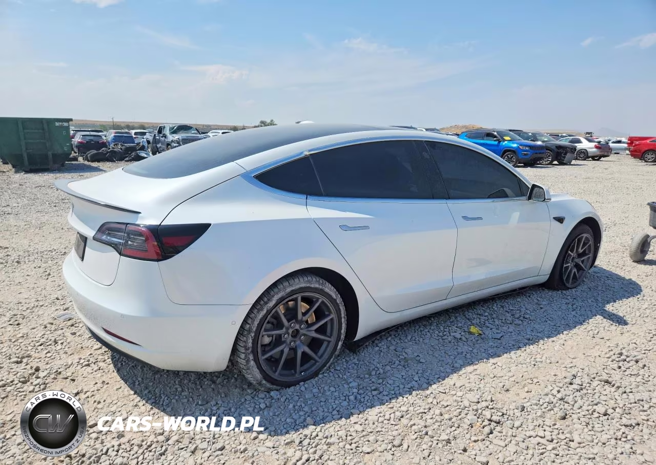 2020 Tesla Model 3 VIN:5YJ3E1EA0LF612713 - 3
