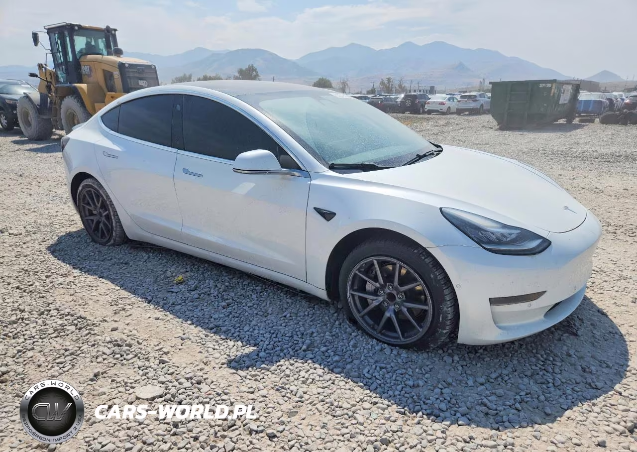 2020 Tesla Model 3 VIN:5YJ3E1EA0LF612713 - 4