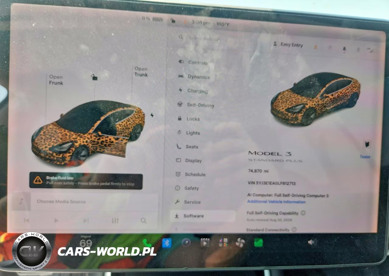 2020 Tesla Model 3 VIN:5YJ3E1EA0LF612713 - 9