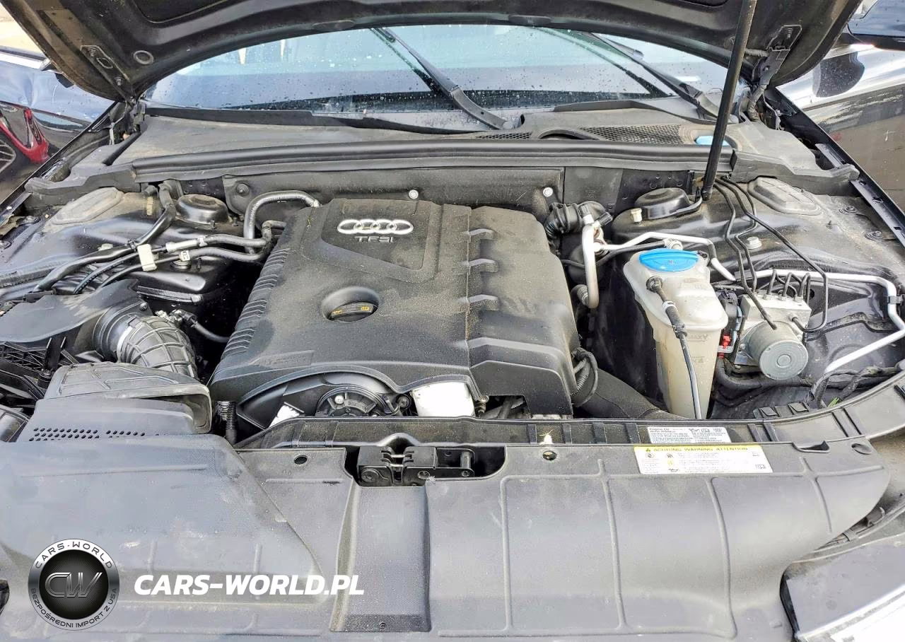2013 Audi A4 Premium Plus VIN:WAUFFAFL1DN021073 - 11