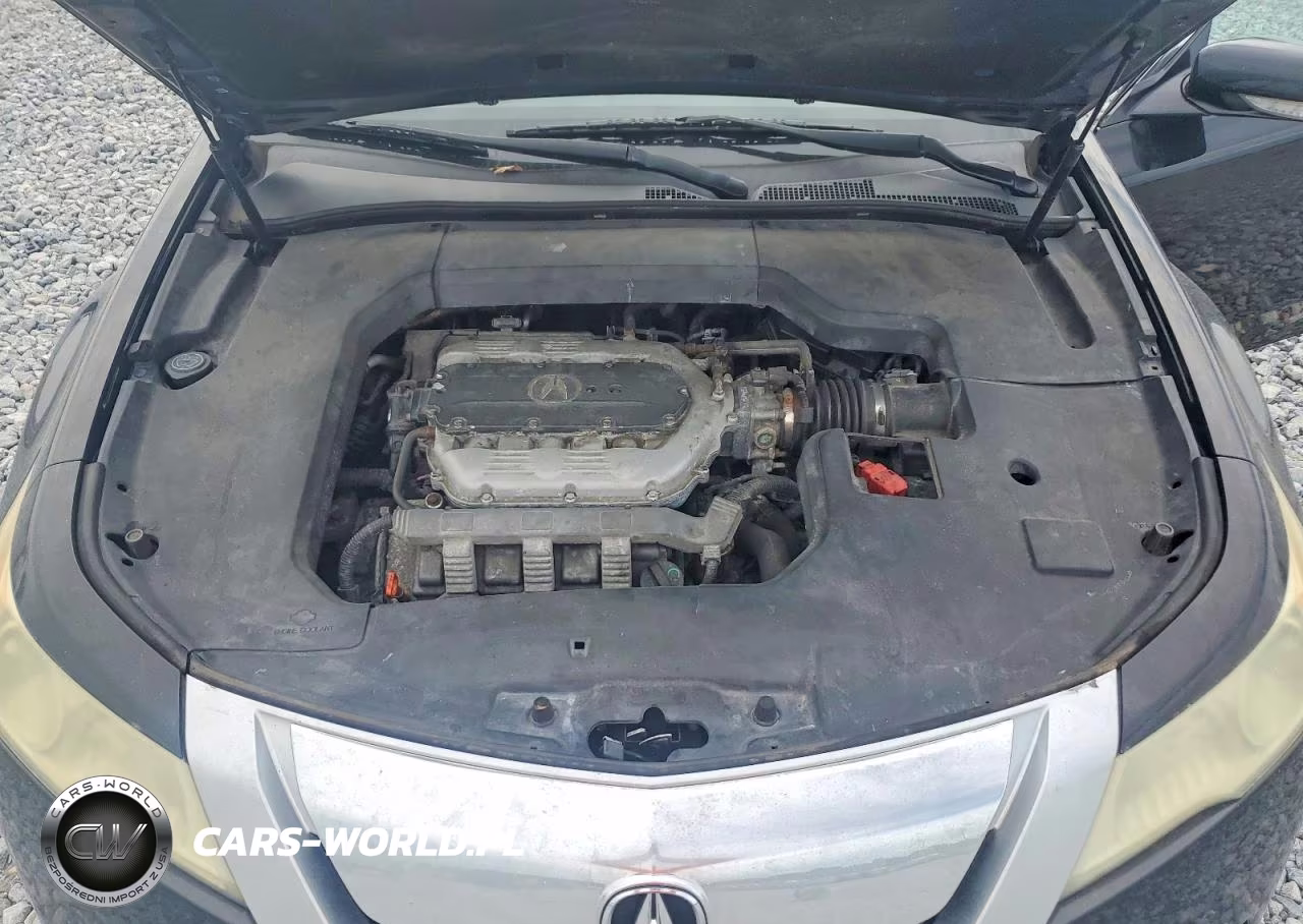2009 Acura Tl VIN:19UUA865X9A014111 - 11