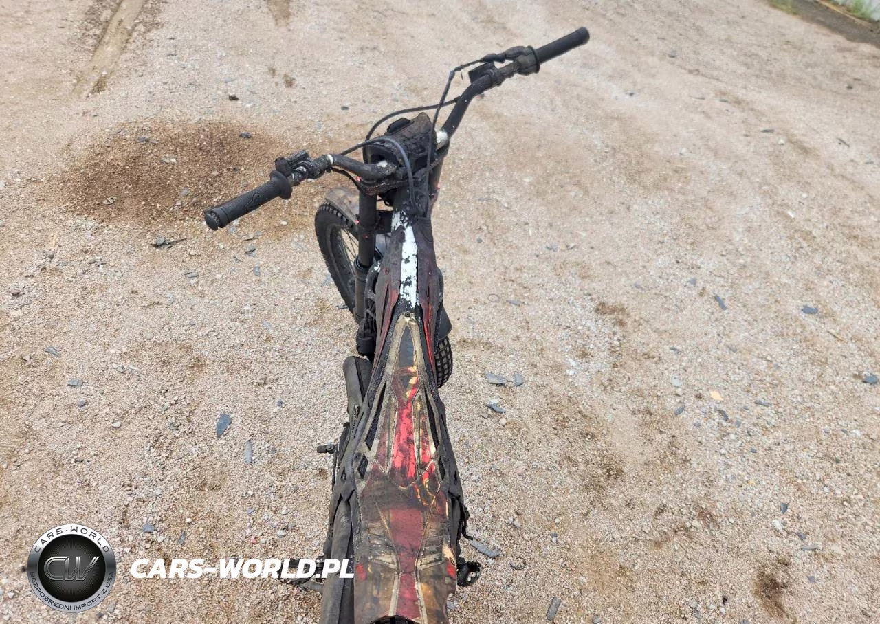 2009 Unkn Beta Evo 250 Trials Bike 2Stro VIN:ZD3T6010090200601 - 6