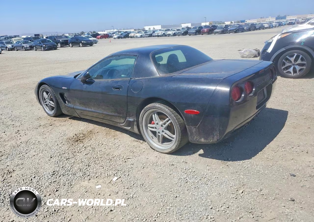 2002 Chevrolet Corvette Z06 VIN:1G1YY12S025125675 - 2