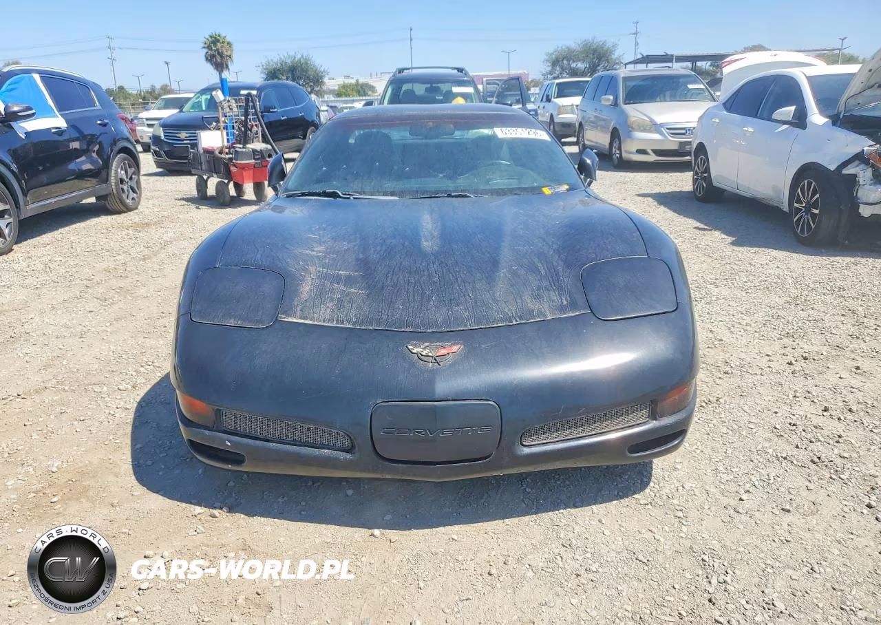 2002 Chevrolet Corvette Z06 VIN:1G1YY12S025125675 - 5