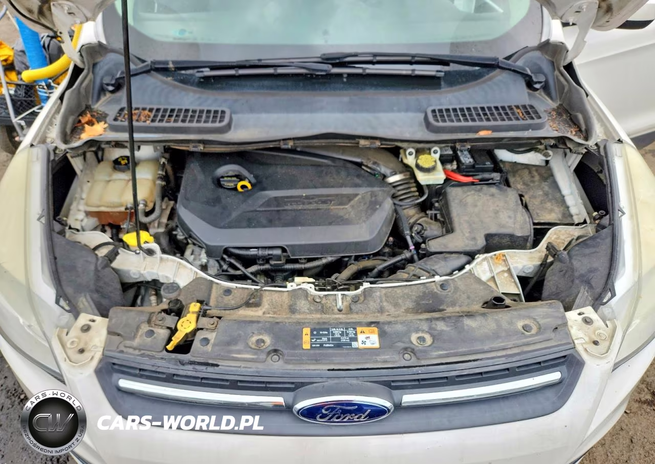 2014 Ford Escape Se VIN:1FMCU9GX2EUB11380 - 11