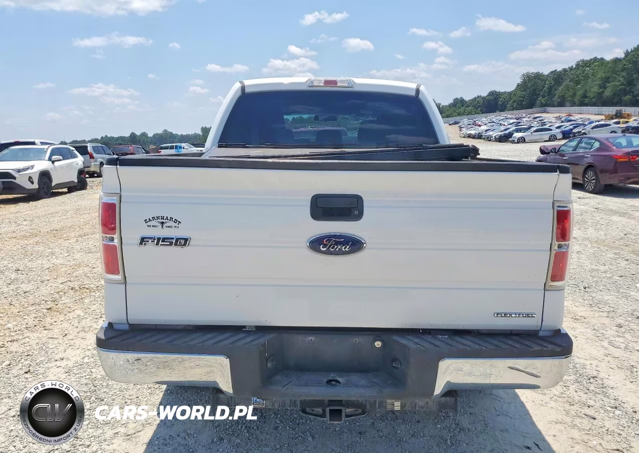 2014 Ford F-150 Xlt VIN:1FTEW1CM3EKD12253 - 6