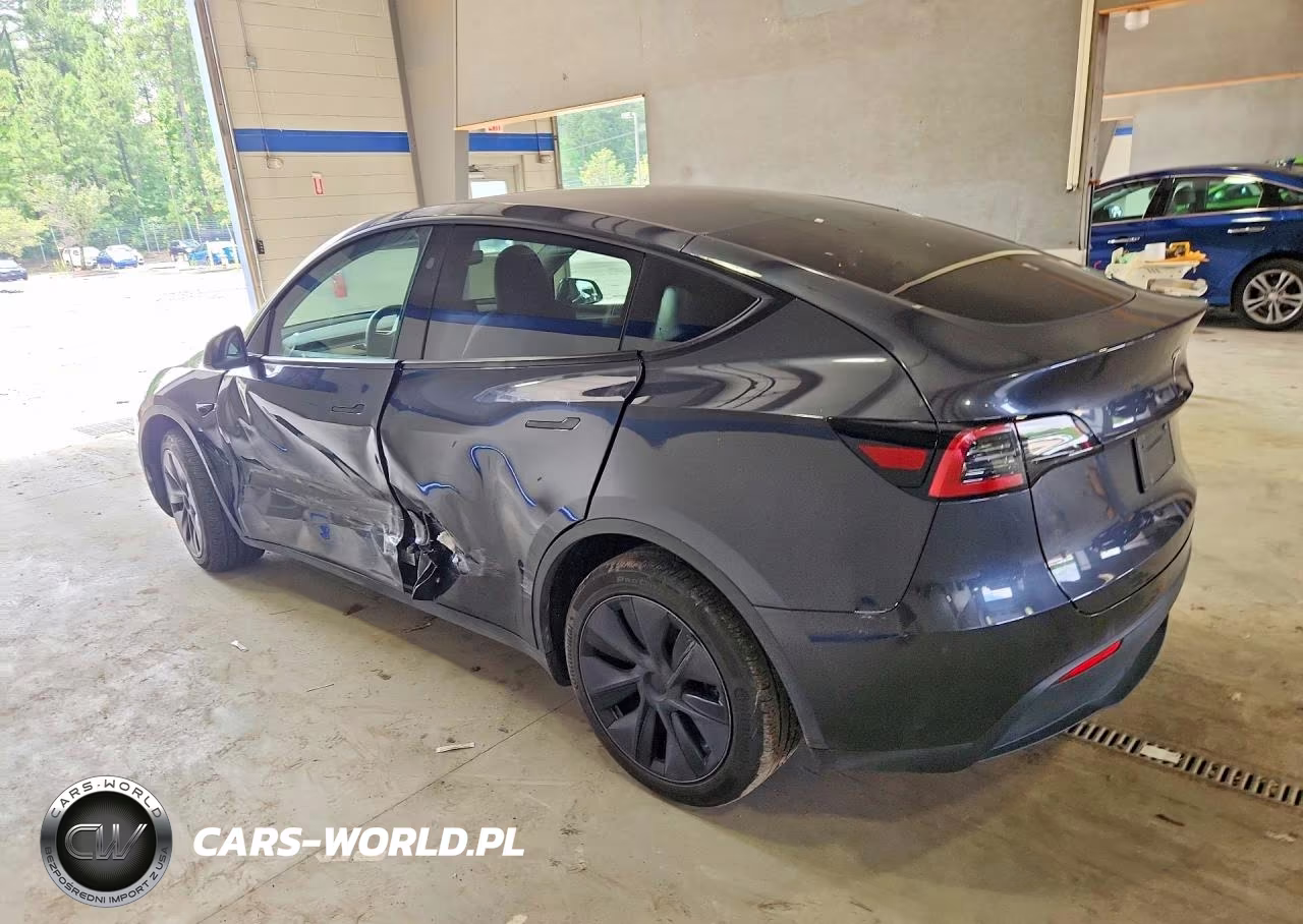 2025 Tesla Model Y VIN:7SAYGDED9SF264861 - 2