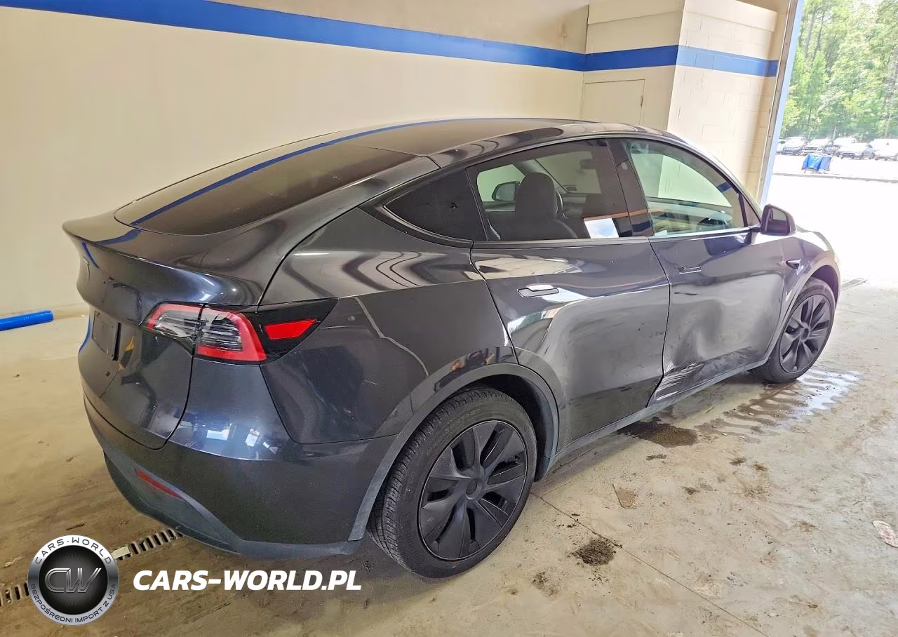2025 Tesla Model Y VIN:7SAYGDED9SF264861 - 3