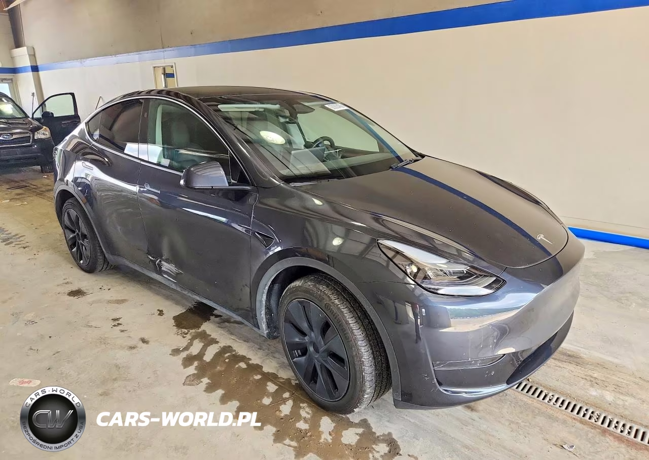 2025 Tesla Model Y VIN:7SAYGDED9SF264861 - 4