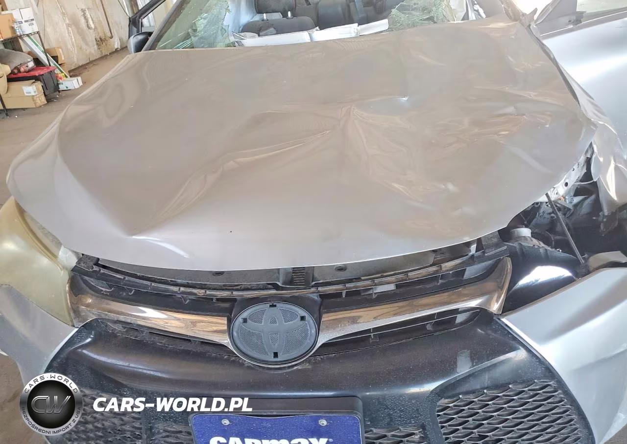 2017 Toyota Camry Se VIN:4T1BF1FK0HU768115 - 11