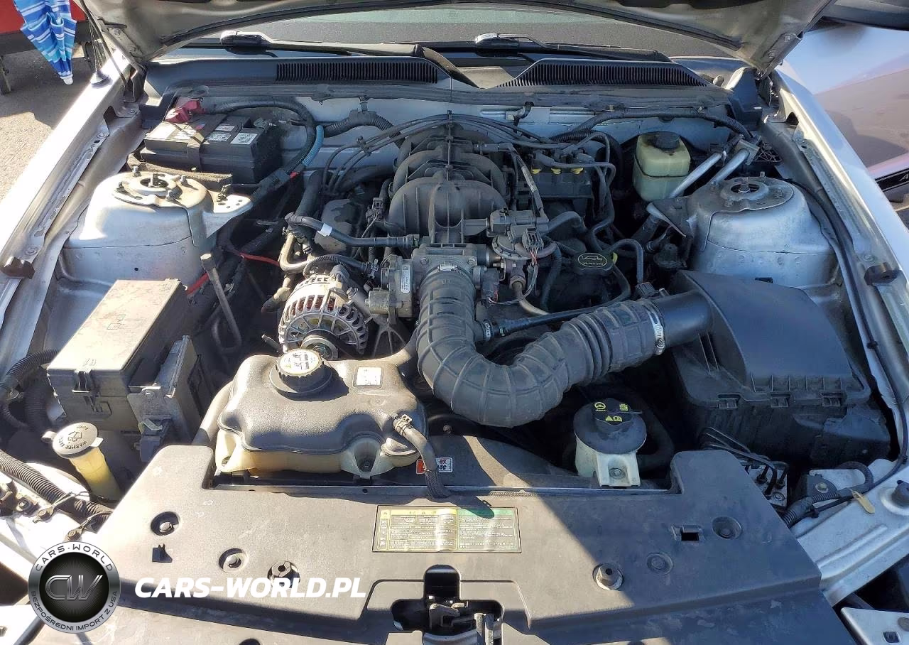 2006 Ford Mustang VIN:1ZVHT84N965154116 - 11