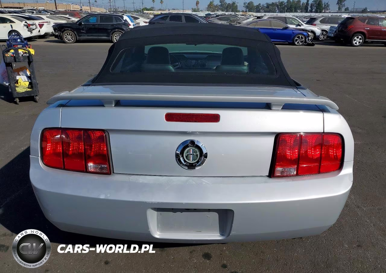 2006 Ford Mustang VIN:1ZVHT84N965154116 - 6