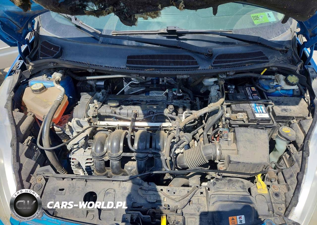 2013 Ford Fiesta Se VIN:3FADP4EJ4DM107406 - 11