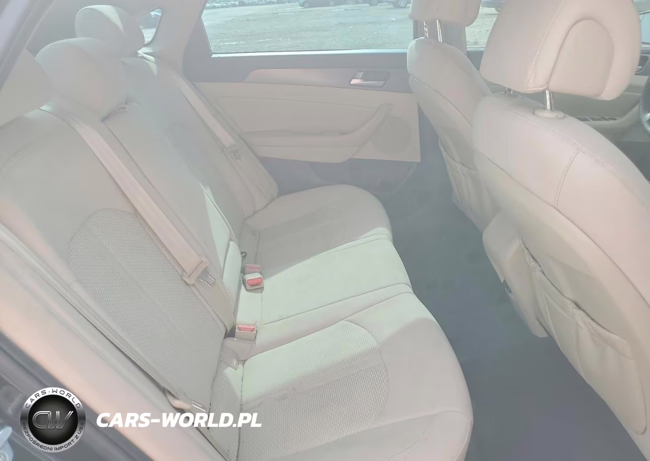 2016 Hyundai Sonata Sport VIN:5NPE34AF5GH333850 - 10