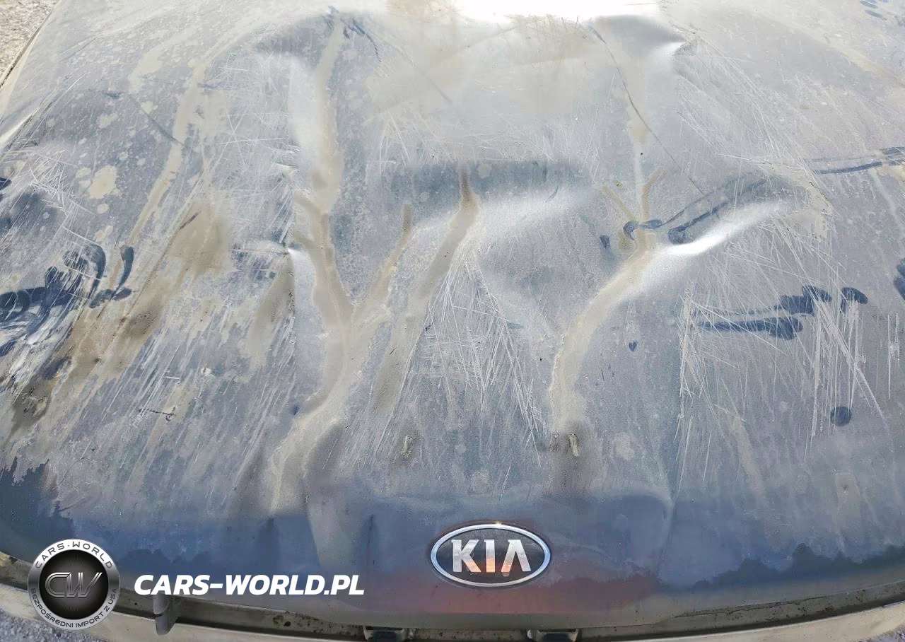 2021 Kia K5 Lxs VIN:5XXG14J27MG044228 - 11
