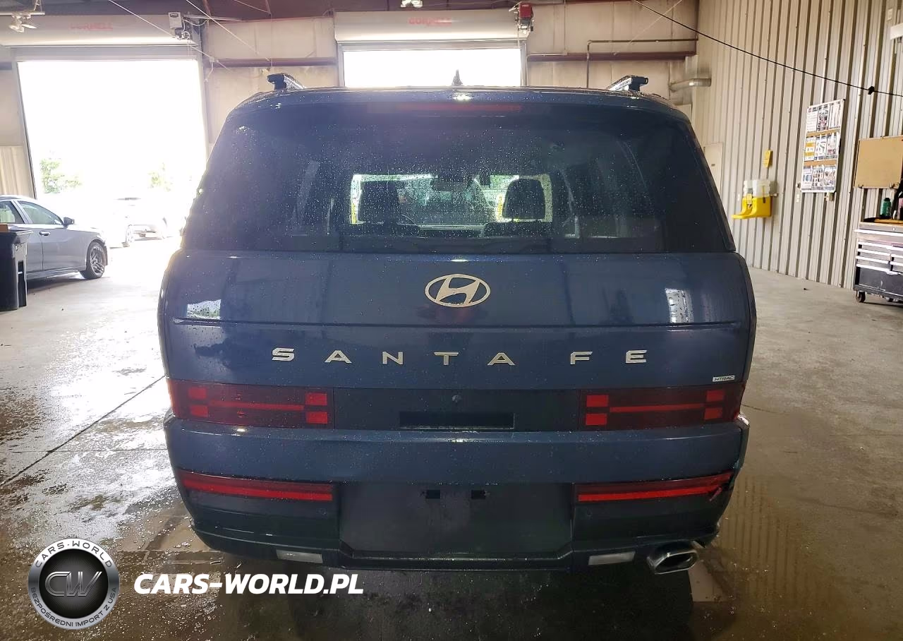 2025 Hyundai Santa Fe Sel VIN:5NMP2DGL1SH097695 - 6
