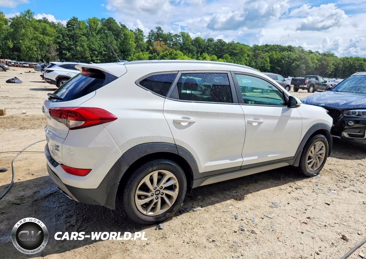 2017 Hyundai Tucson Eco VIN:KM8J3CA23HU339431 - 3