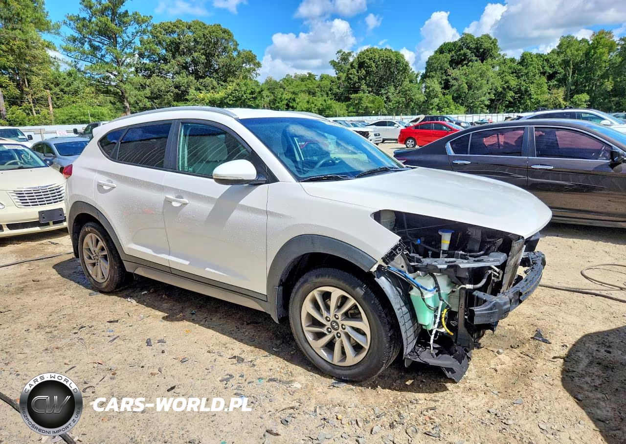 2017 Hyundai Tucson Eco VIN:KM8J3CA23HU339431 - 4