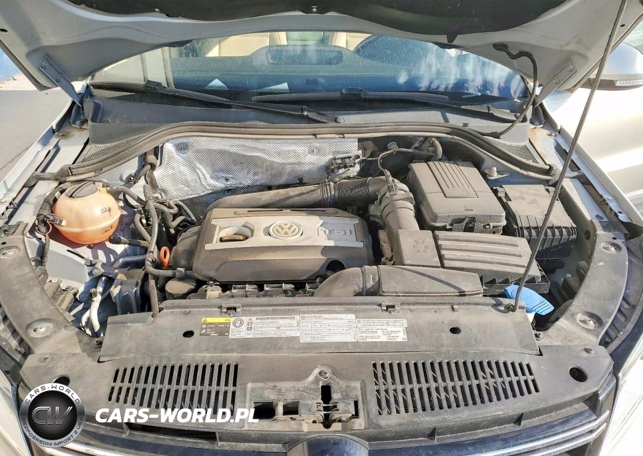 2013 Volkswagen Tiguan S VIN:WVGBV3AX2DW058925 - 11