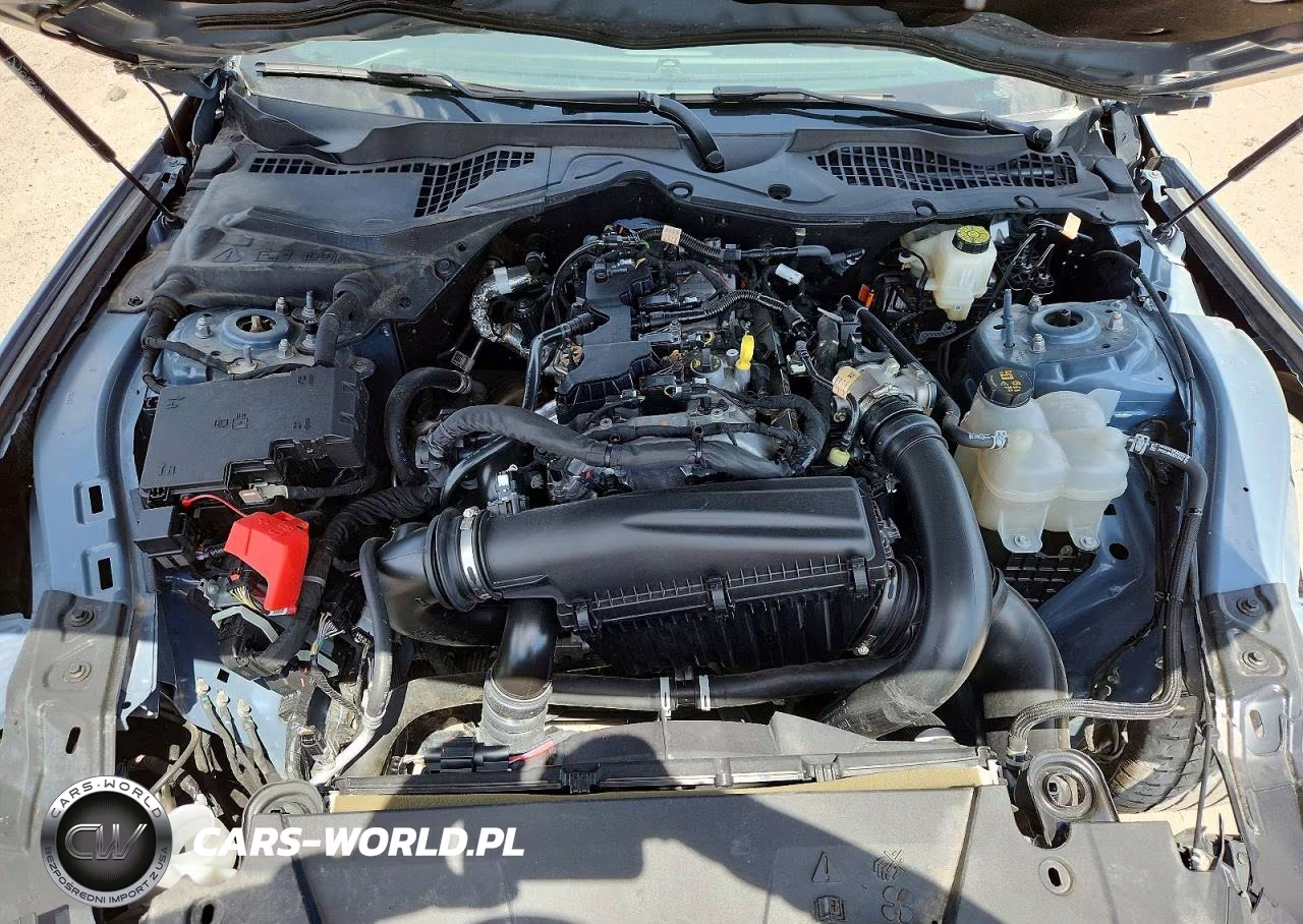 2024 Ford Mustang VIN:1FA6P8TH6R5110191 - 11
