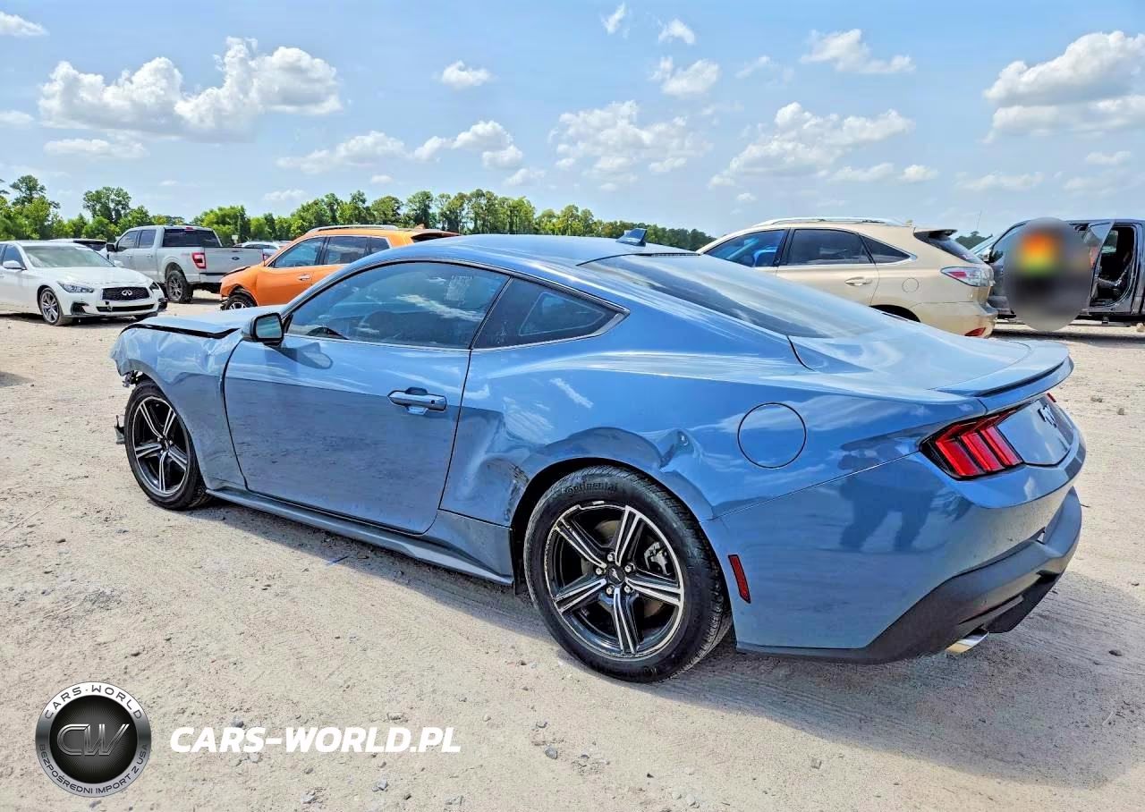 2024 Ford Mustang VIN:1FA6P8TH6R5110191 - 2