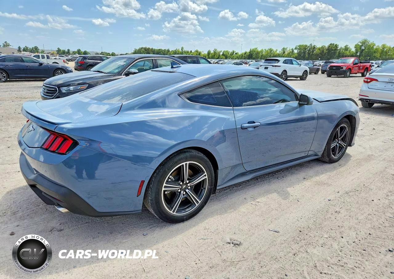 2024 Ford Mustang VIN:1FA6P8TH6R5110191 - 3