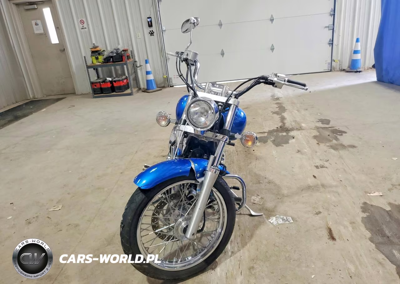 2009 Yamaha Xvs650 VIN:JYAVM01E29A133303 - 2