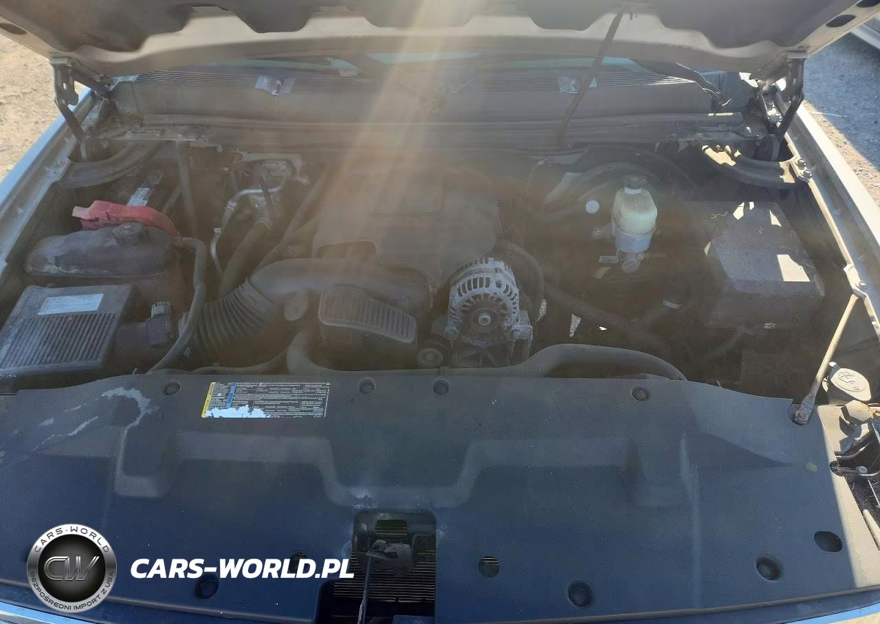 2009 Chevrolet Silverado K1500 VIN:1GCEK19C59Z273043 - 11