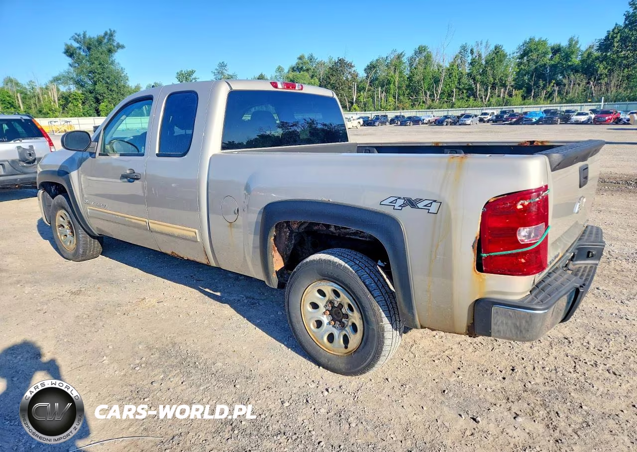 2009 Chevrolet Silverado K1500 VIN:1GCEK19C59Z273043 - 2