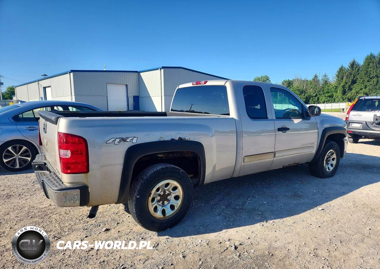 2009 Chevrolet Silverado K1500 VIN:1GCEK19C59Z273043 - 3