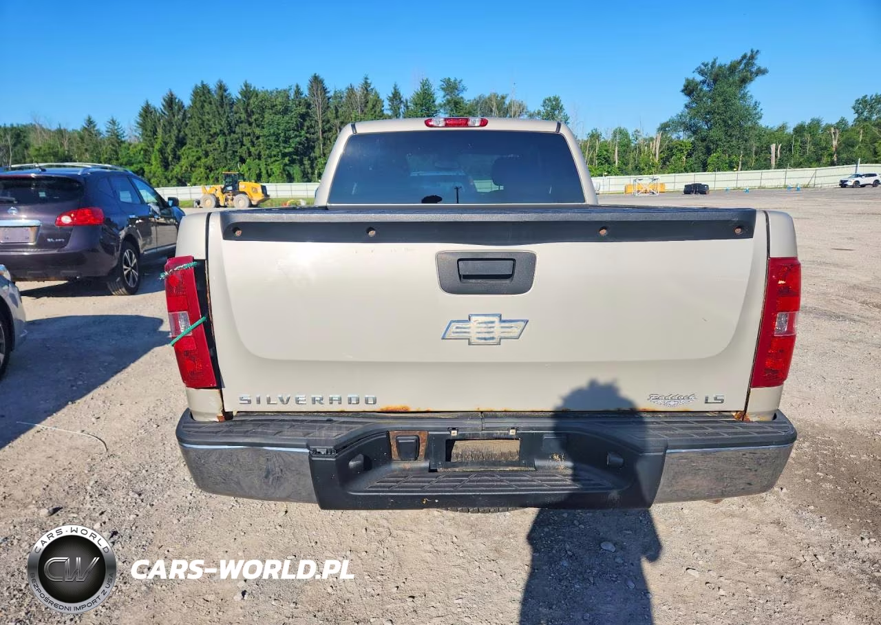 2009 Chevrolet Silverado K1500 VIN:1GCEK19C59Z273043 - 6
