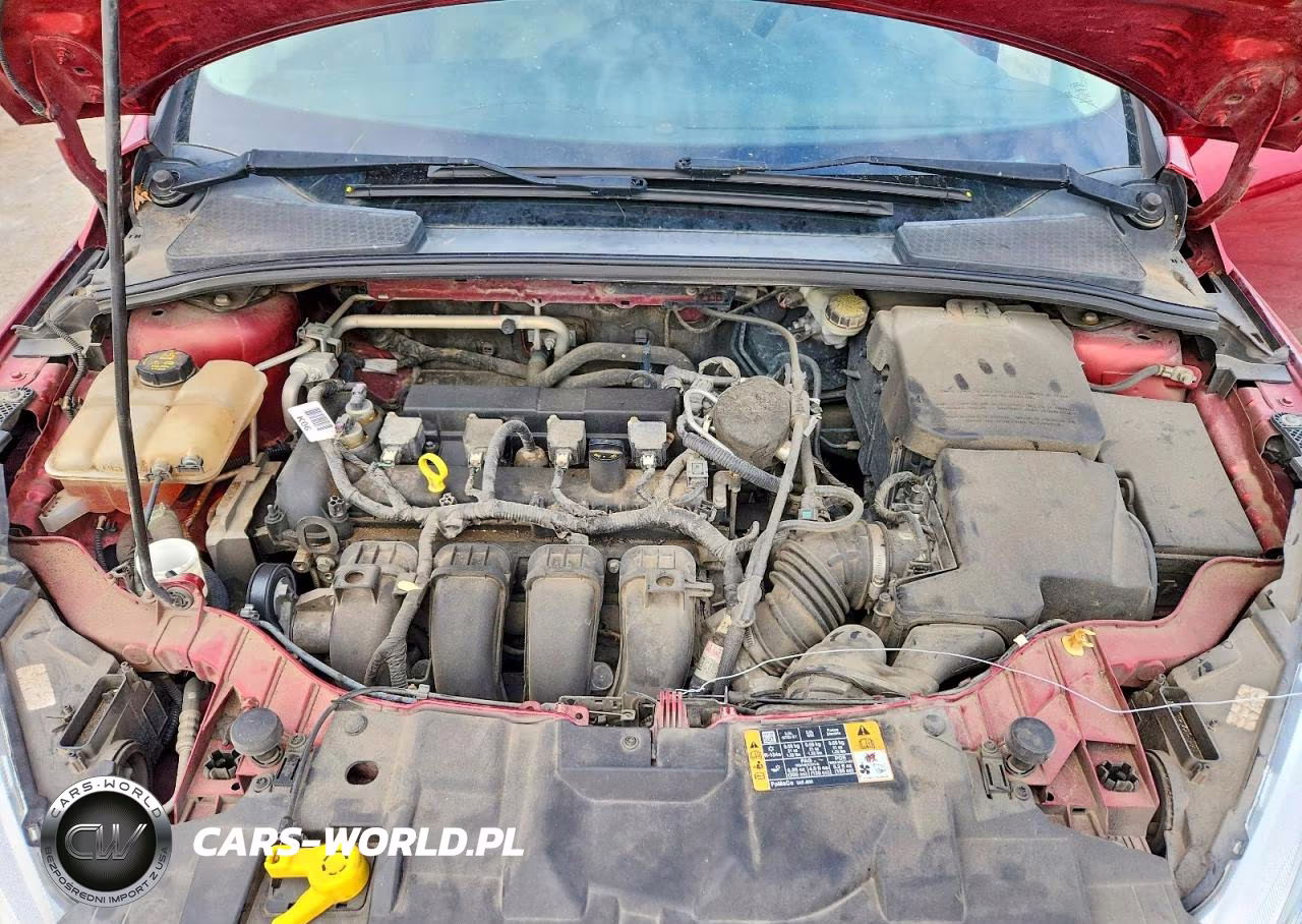 2015 Ford Focus Se VIN:1FADP3F24FL374809 - 11