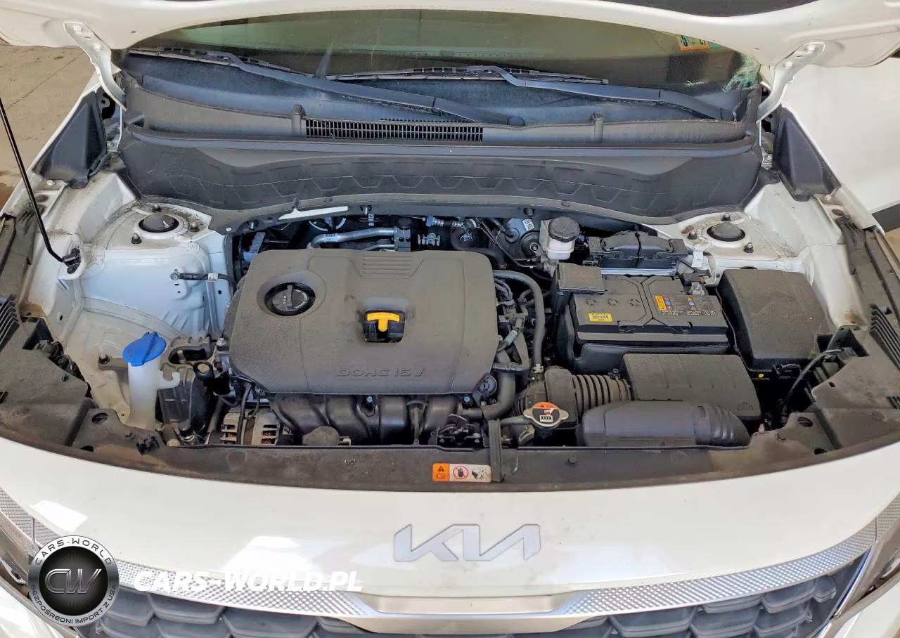 2022 Kia Seltos Lx VIN:KNDEPCAA2N7331543 - 12