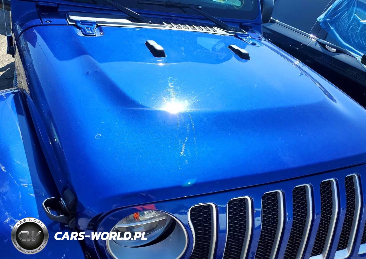 2020 Jeep Wrangler Unlimited Sahara VIN:1C4HJXEN2LW207939 - 11