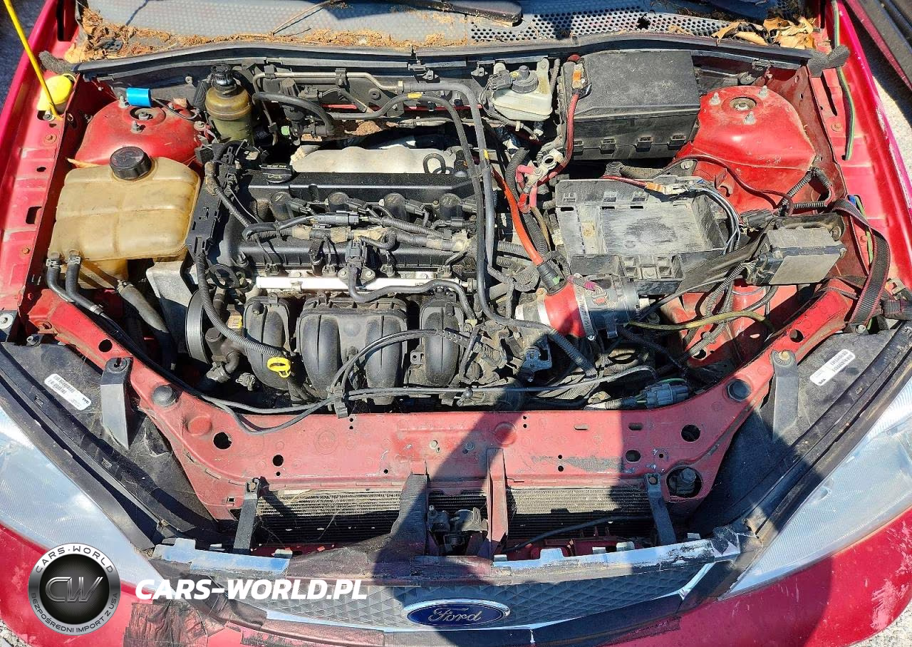 2005 Ford Focus Zx3 VIN:3FAHP31N25R116274 - 11