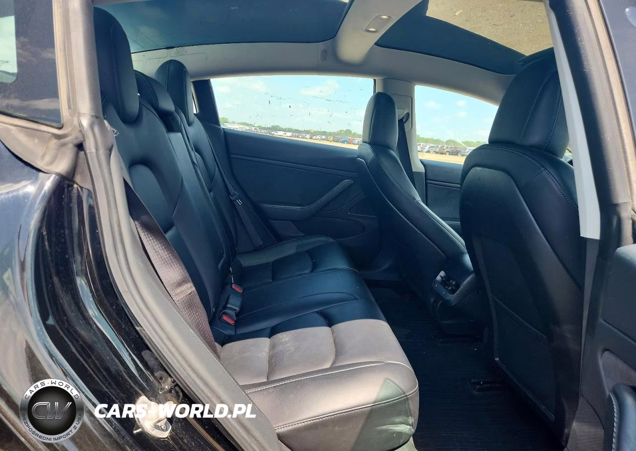 2019 Tesla Model 3 VIN:5YJ3E1EA2KF316915 - 10