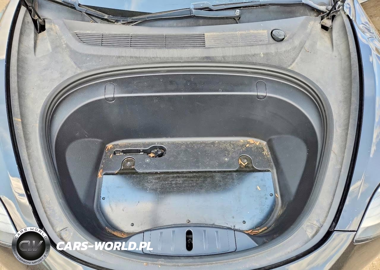 2019 Tesla Model 3 VIN:5YJ3E1EA2KF316915 - 11